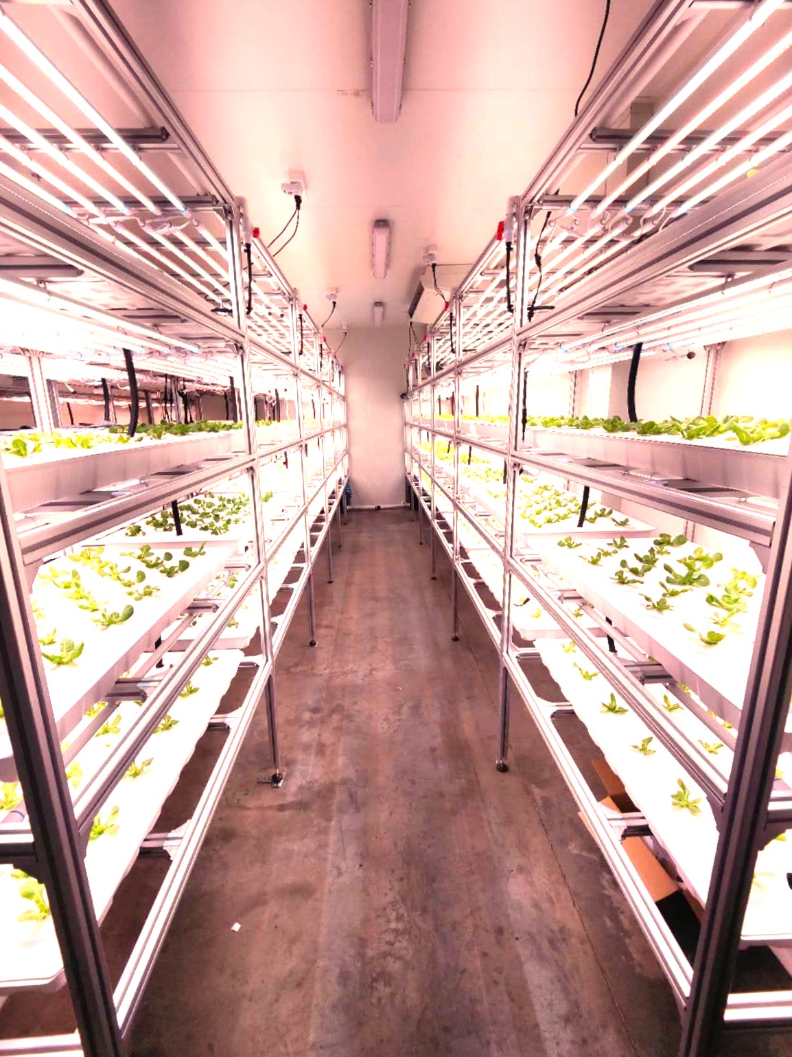 Climate-Controlled Greenhouse Equipment & Site Transfer in Laverton